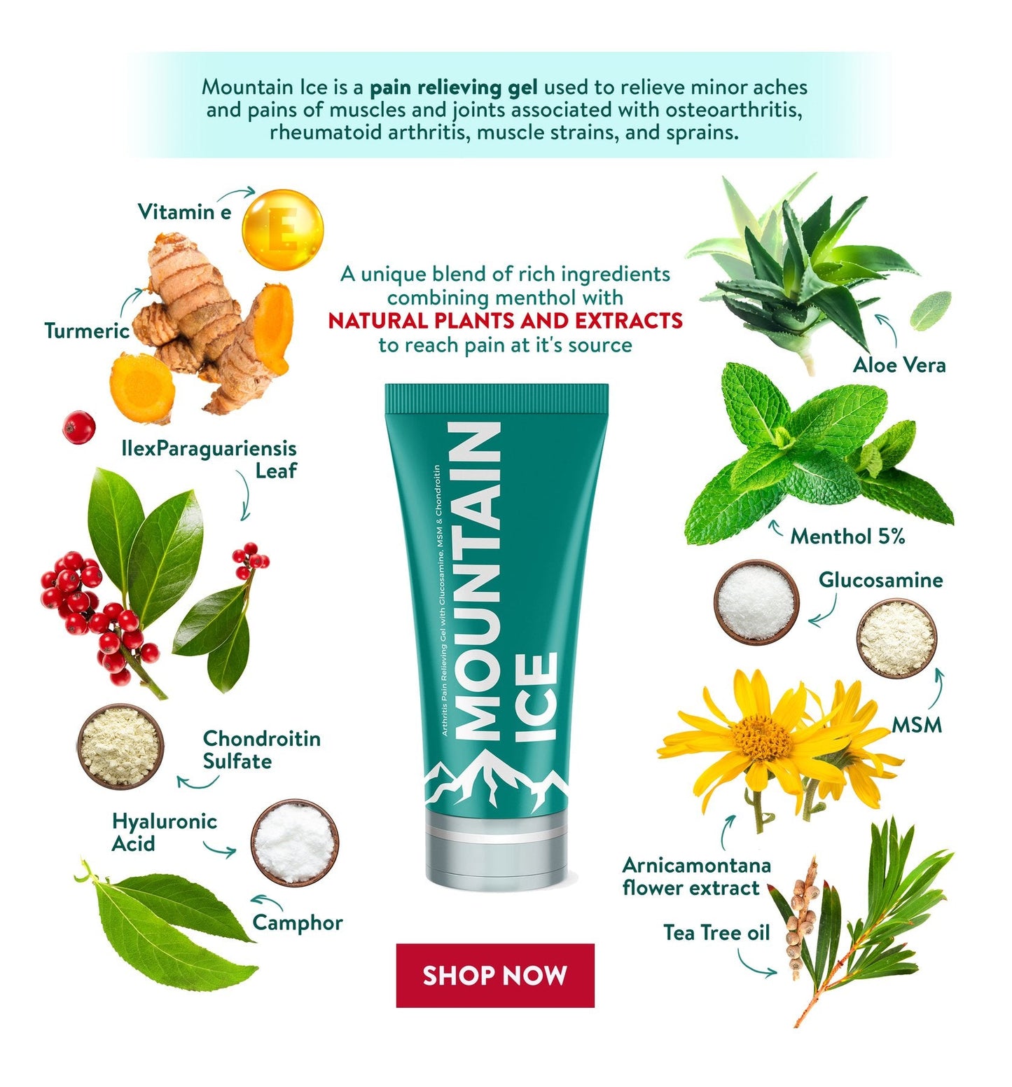Mountain Ice Arthritis, Joint & Nerve Pain Relieving Gel with Natural Ingredients (Great for Back & Neck Pain) Massage & Relaxation Set2save