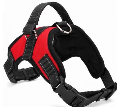Saddle-type Dog Chest Harness Pet First Aid & Emergency Kits Set2save M Red 1